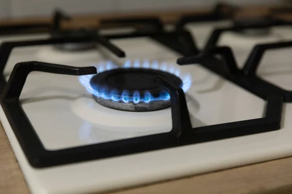 Close-up of a blue flame of fire from a home cooking stove. The concept of industrial resources and economy. Gas stove with a burning flame.Propane.Close-up.Copy space.