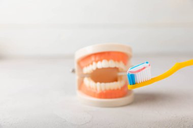 Dentures with a toothbrush on a white background. Upper and lower jaws with false teeth. Dentures or false teeth, close-up. copy space.MOCKUP