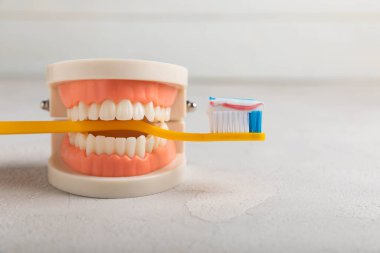 Dentures with a toothbrush on a white background. Upper and lower jaws with false teeth. Dentures or false teeth, close-up. copy space.MOCKUP
