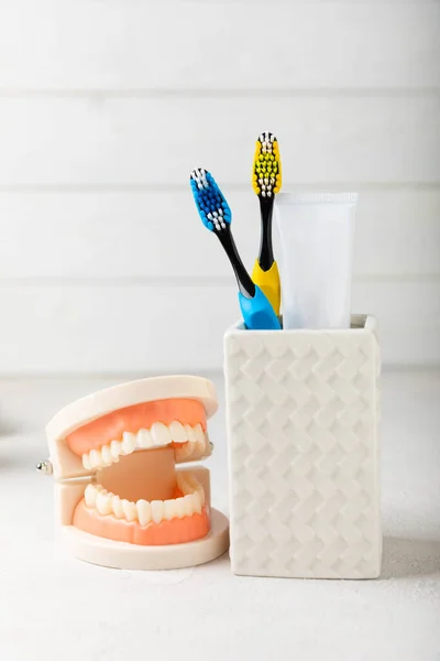 Toothbrush Tongue Cleaner Dental Floss Tube Toothpaste Mouthwash False Teeth — ストック写真