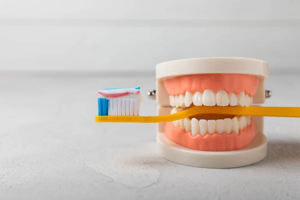 Dentures with a toothbrush on a white background. Upper and lower jaws with false teeth. Dentures or false teeth, close-up. copy space.MOCKUP