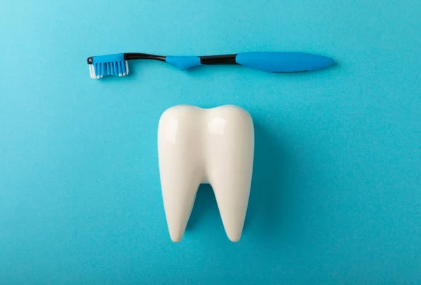 Modelo Limpieza Diente Blanco Con Cepillo Dientes Sobre Fondo Azul — Foto de Stock