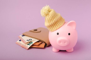 Tasarruf kavramı. Domuzcuk kumbarası ve leylak desenli arka planda para. Sıcak bir kış şapkası takmış, sıcağı kurtaran bir kumbara. Isıtma tasarrufu kavramı. Mesaj için yer. Boşluğu kopyala