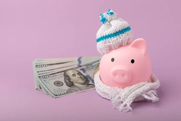 Savings concept. Piggy bank and money on a lilac texture background. A piggy bank in a warm winter hat that saves heat. The concept of saving heating. Place for text. copy space