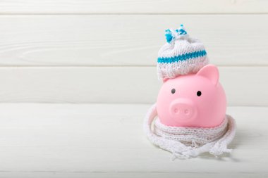 Paralı domuz kumbarası. Dolarlı domuz kumbarası ve beyaz desenli kış şapkası. Sıcaktan tasarruf kavramı. Isıtma, bankacılık ve tasarruf kavramı. Metin için yer, kopyalamak için yer.