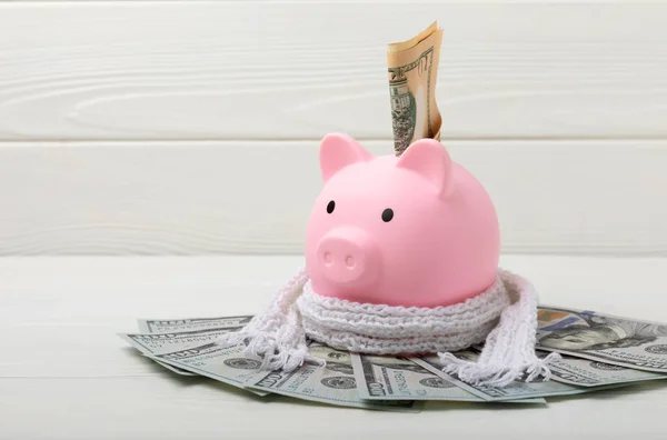 Piggy bank with money.Piggy bank with dollars in winter scarf on white texture wood.Heat saving concept. The concept of saving heating.Banking and savings. Place for text, space for copy.