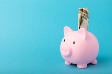 Mavi arka planda bir kumbara. Dolar banknotları olan domuz kumbarası. Yatırım ve tasarruf kavramı. Yatırım. Kopyalanacak yer. maketleme