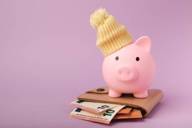 Tasarruf kavramı. Domuzcuk kumbarası ve leylak desenli arka planda para. Seni sıcak tutan, kışlık şapkalı bir kumbara. Isı tasarrufu kavramı. Mesaj için yer. Boşluğu kopyala