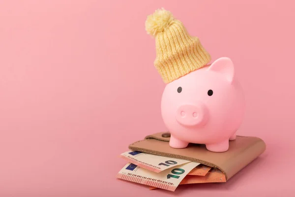 Savings concept. Piggy bank and money on pink texture background. A piggy bank in a warm winter hat that keeps you warm. Heat saving concept. Place for text. copy space