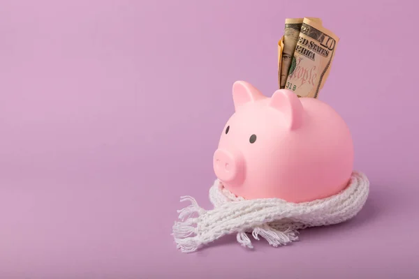 Κουμπαράς Ροζ Φόντο Piggy Τράπεζα Money Concept Της Επένδυσης Και — Φωτογραφία Αρχείου