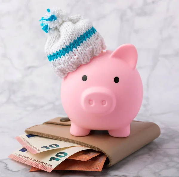 Tasarruf kavramı. Domuz kumbarası ve beyaz mermer desenli arka planda para. Seni sıcak tutan, kışlık şapkalı bir kumbara. Isı tasarrufu kavramı. Mesaj için yer. Boşluğu kopyala