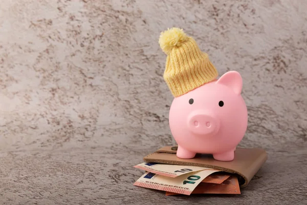 Savings concept. Piggy bank and money on brown texture background. A piggy bank in a warm winter hat that keeps you warm. Heat saving concept. Place for text. copy space