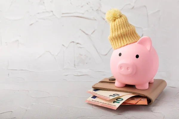 Savings concept. Piggy bank and money on gray texture background. A piggy bank in a warm winter hat that keeps you warm. Heat saving concept. Place for text. copy space