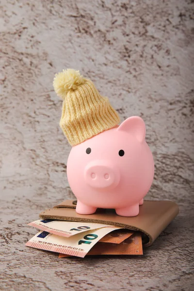 Savings concept. Piggy bank and money on brown texture background. A piggy bank in a warm winter hat that keeps you warm. Heat saving concept. Place for text. copy space