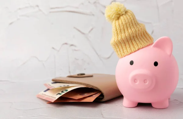 Savings concept. Piggy bank and money on gray texture background. A piggy bank in a warm winter hat that keeps you warm. Heat saving concept. Place for text. copy space