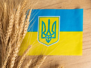 Ukrayna bayrağı buğdaylı mavi ve sarıdır. Tahıl ticareti. Ukrayna. Ukrayna 'nın Bağımsızlık Günü, Bayrak Günü.