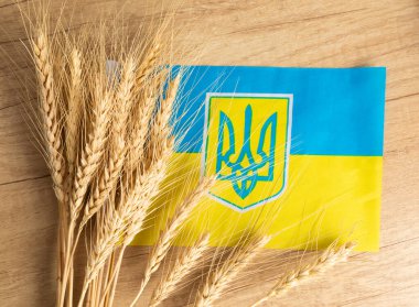 Ukrayna bayrağının arka planında buğday. Ukrayna 'da savaş. Tahıl ihracatı. Dünyanın dört bir yanından destek. Ülkeye yatırım. Bağışlar.