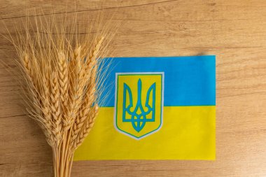Ukrayna bayrağının arka planında buğday. Ukrayna 'da savaş. Tahıl ihracatı. Dünyanın dört bir yanından destek. Ülkeye yatırım. Bağışlar.