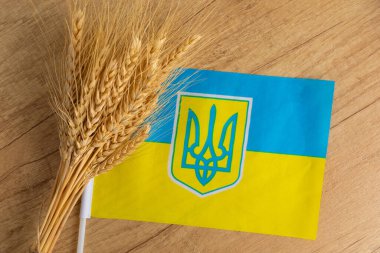 Ukrayna bayrağının arka planında buğday. Ukrayna 'da savaş. Tahıl ihracatı. Dünyanın dört bir yanından destek. Ülkeye yatırım. Bağışlar.