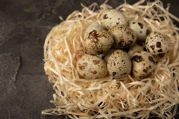 Wachteleier Einem Nest Auf Schwarzem Hintergrund Ganze Und Zerbrochene Wachteleier — Stockfoto