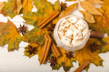 Sonbahar hala hayattır. Tahta bir masanın üzerinde marşmelov ve akçaağaç yapraklı kakao. Sonbahar mevsimi konsepti. Rahatlamak için ılık bir içecek, sonbahar hafta sonu havası. Mesaj için yer. Kopyalanacak yer. Düz yatıyordu