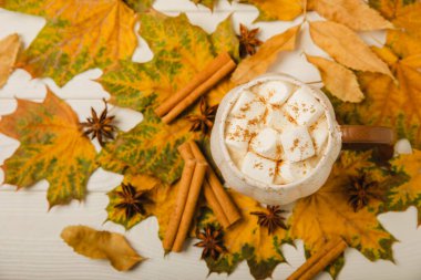 Sonbahar hala hayattır. Tahta bir masanın üzerinde marşmelov ve akçaağaç yapraklı kakao. Sonbahar mevsimi konsepti. Rahatlamak için ılık bir içecek, sonbahar hafta sonu havası. Mesaj için yer. Kopyalanacak yer. Düz yatıyordu