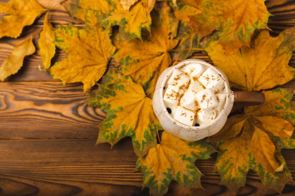 Autumn still life. Cocoa with marshmallows and maple leaves on a wooden table. Autumn season concept. Warming drink for relaxation, autumn weekend mood. Place for text. Place to copy. Flat lay