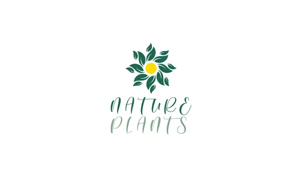 Modelo Design Logotipo Planta Crescente Design Para Natureza Agricultura Jardinagem — Vetor de Stock