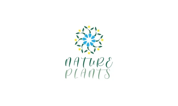 Wachsende Pflanze Logo Design Vorlage Design Für Natur Landwirtschaft Gartenbau — Stockvektor