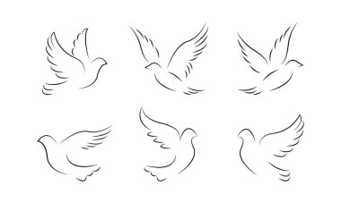 Line art dove vector design element. Hand drawn flying bird.