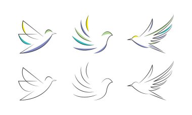 Line art hummingbird vector design element. Hand drawn flying bird.
