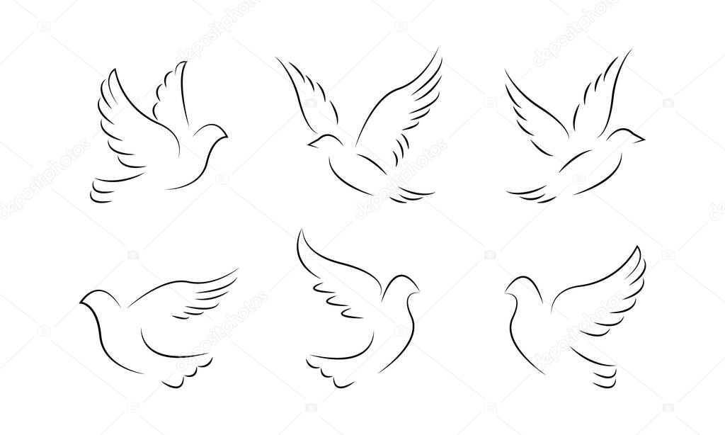 Line art dove vector design element. Hand drawn flying bird.