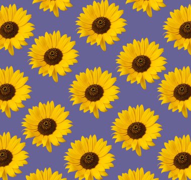 Ayçiçeği deseni. Sarı çiçekli yaratıcı güzel fikir..
