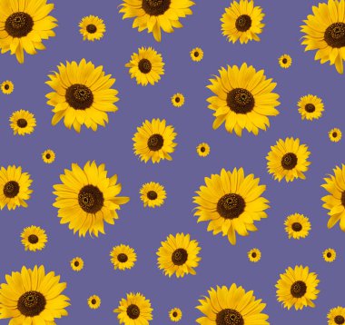 Çeşitli boyutlarda ayçiçeği deseni. Sarı çiçekli yaratıcı güzel fikir..