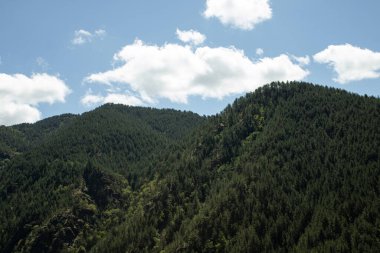 Dağda güzel bir çam ormanıyla güneşli bir gün. Beyaz bulutlu mavi gökyüzü.