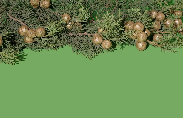 Creative Arrangement Green Background Christmas Tree — Stock Photo, Image