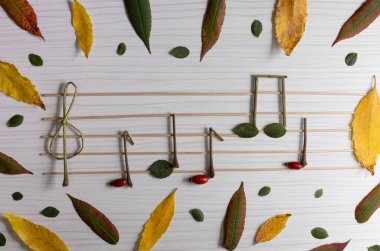 Sonbahar yaprakları, yeşil, kırmızı ve sarı. Bej arka planda. Sonbahar düzenlemesi.