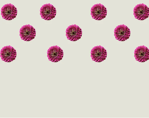 Kreativt Mönster Med Vår Rosa Blommor Och Pastell Tegel Bakgrund — Stockfoto