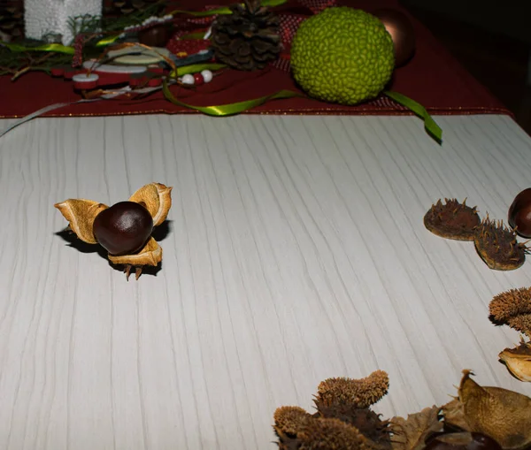 Creative Idea Autumn Chestnut Fruit Table Minimal Concept — Stock Photo, Image