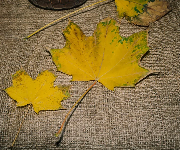 Yellow Leaves Table Autumn Idea — Stock Photo, Image