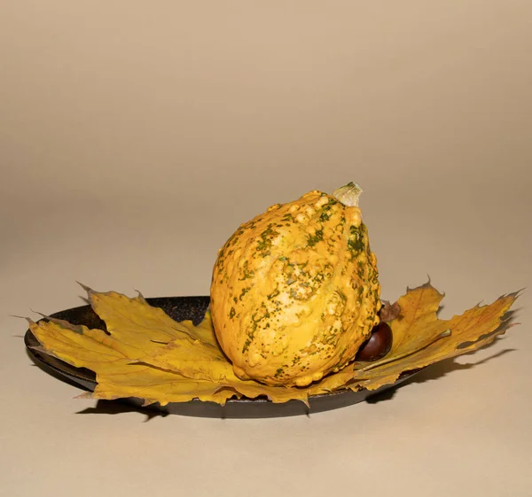 Yellow Pumpkin Dry Leaves Beige Background — Stock Photo, Image