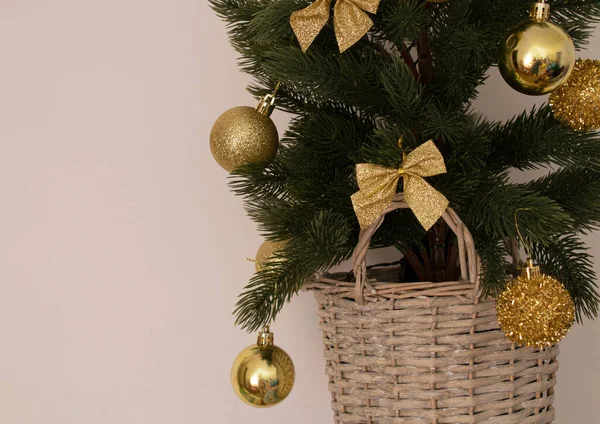 Junge Weihnachtsbaum Mit Goldenen Ornamenten Vor Beigem Hintergrund Kreative Idee — Stockfoto