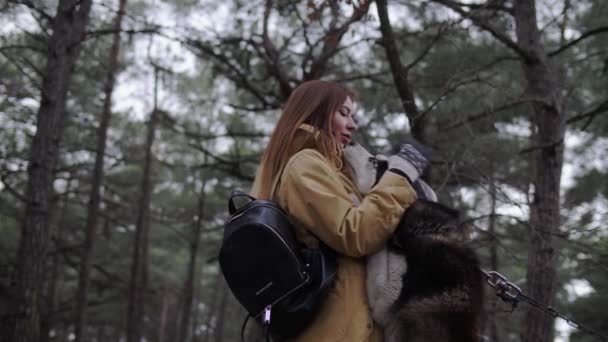 Beautiful Young Girl Playing Large Husky Dog Woods — Stock Video