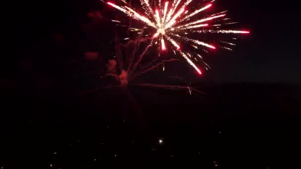 밤하늘에 불꽃놀이가 펼쳐져 — 비디오