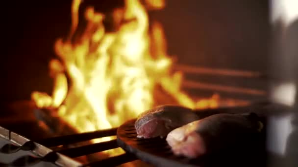 Fillet Juicy Perch Sizzles Hot Grill Grill — Stock Video