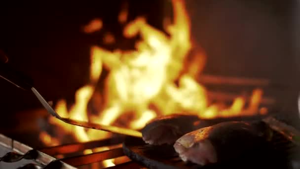 Delicioso Filete Atún Parrilla — Vídeos de Stock