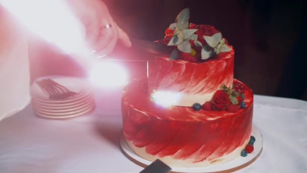 若いです美しい新婚旅行で結婚式は大きな美しい赤いお祝いのケーキの一部を切りました — ストック動画