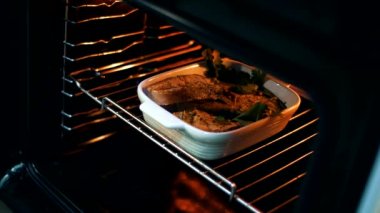 Kız şık bir mutfakta modern bir fırına balık tabağı koyar.