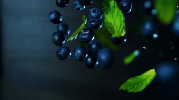 成熟的雪莓蓝莓和薄荷叶在黑暗的背景下缓缓飘扬 — 图库视频影像