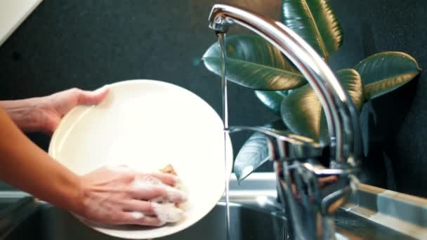 女の子洗浄ホワイトプレートで現代的なキッチンでダークスカンディナヴィアデザイン — ストック動画